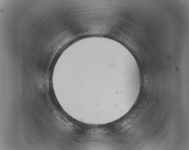 X0000067900632200604201336