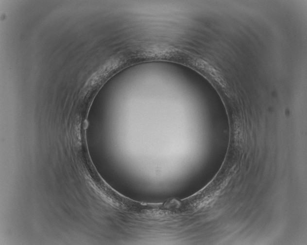 X0000067900633200604201336