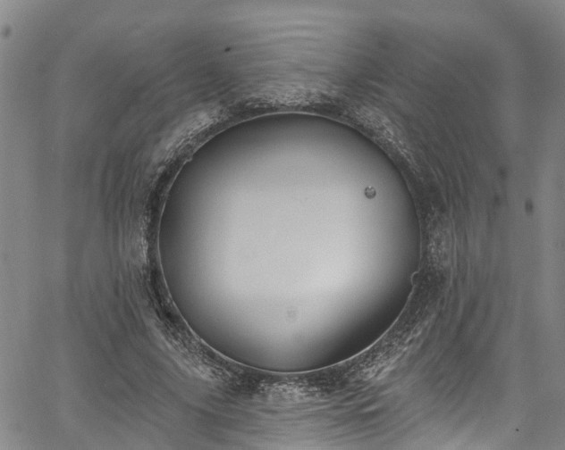 X0000067900635200604201336