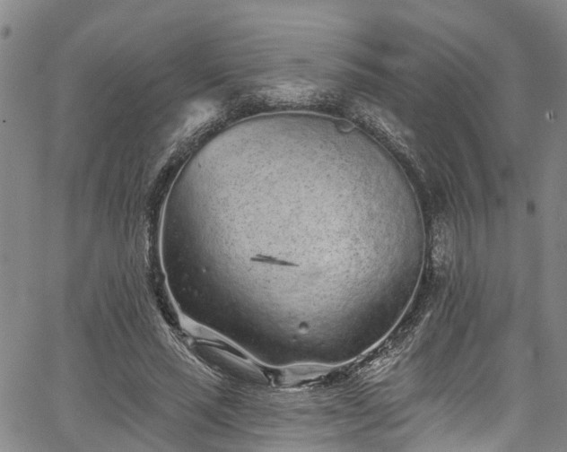 X0000067900637200604201336