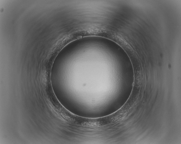 X0000067900639200604201336