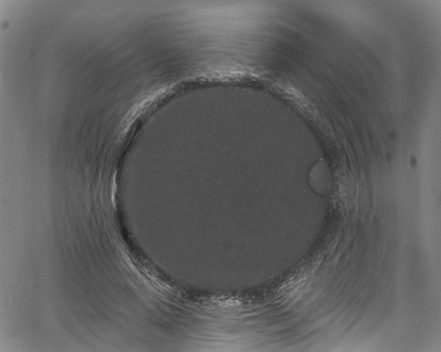 X0000067900640200604201336