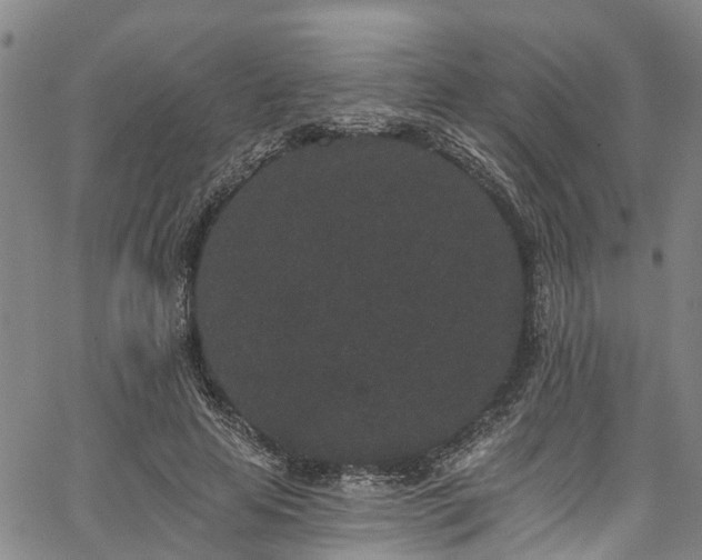 X0000067900641200604201336