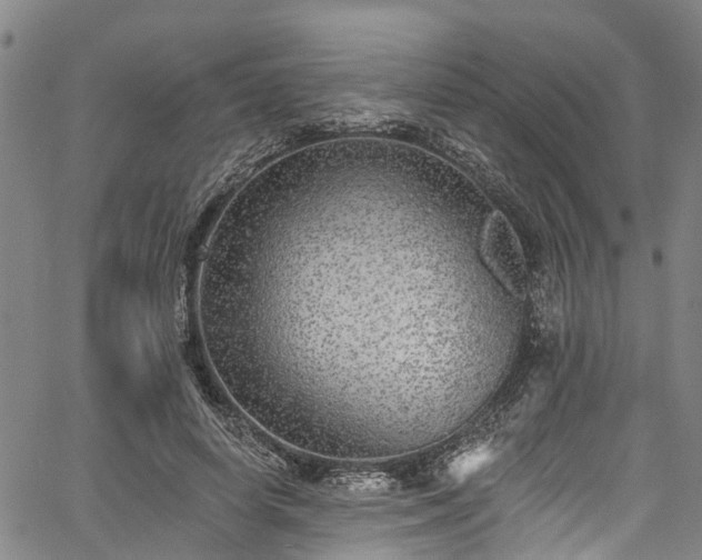 X0000067900642200604201336