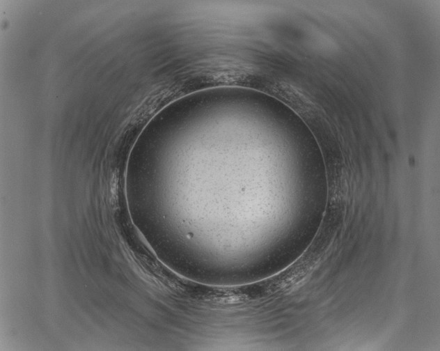 X0000067900646200604201336