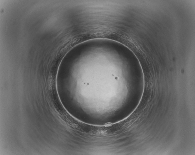 X0000067900647200604201336