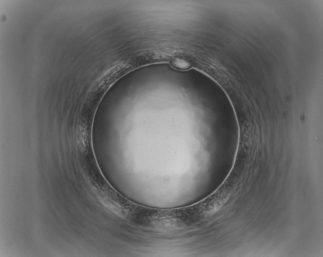 X0000067900648200604201336