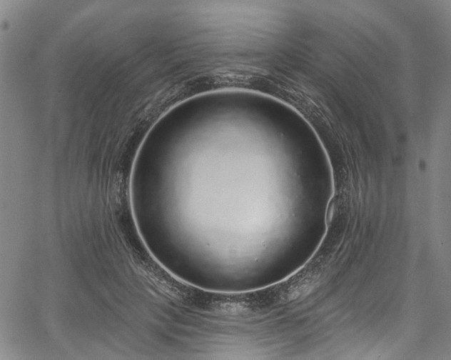 X0000067900649200604201336