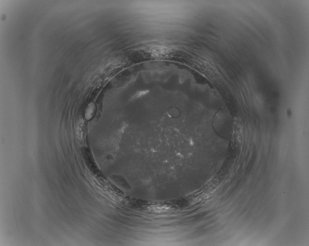 X0000067900650200604201336