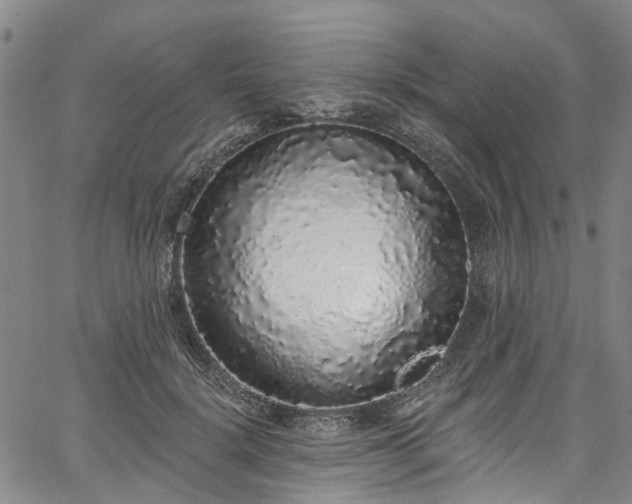 X0000067900652200604201336