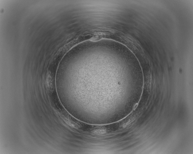 X0000067900653200604201336