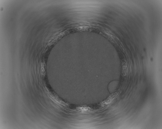 X0000067900654200604201336