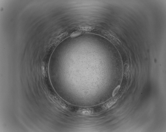 X0000067900655200604201336