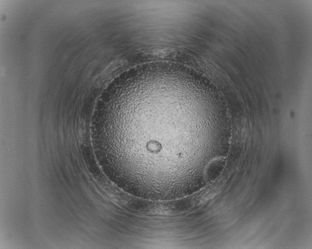 X0000067900656200604201336