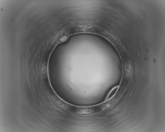 X0000067900657200604201336