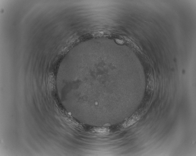 X0000067900659200604201336