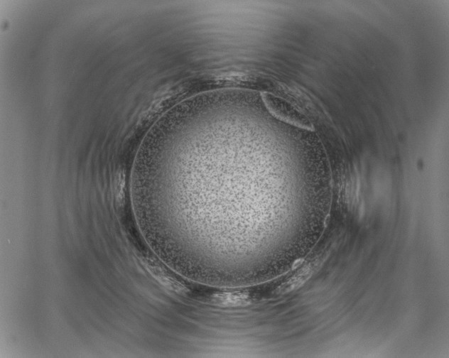 X0000067900660200604201336