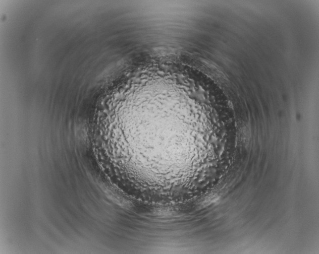 X0000067900662200604201336