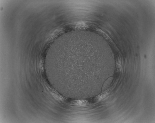 X0000067900663200604201336