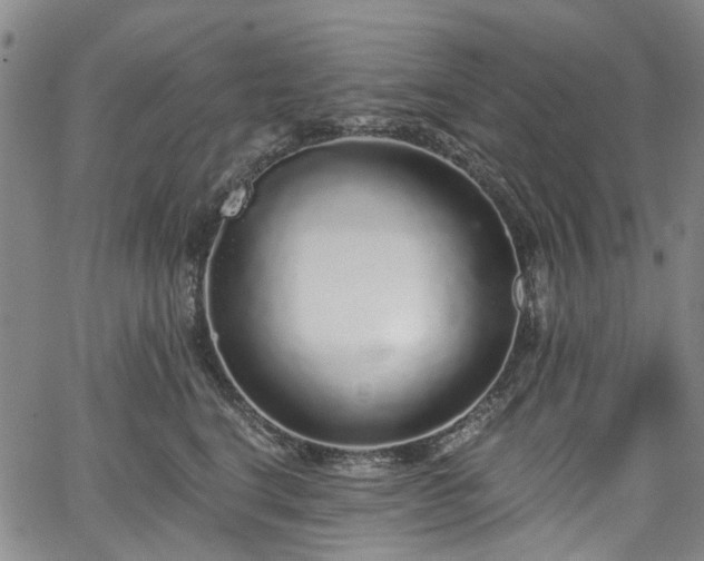 X0000067900664200604201336