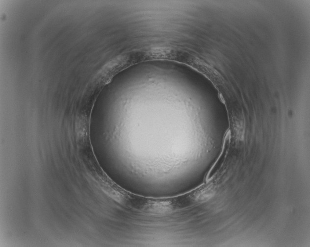 X0000067900665200604201336