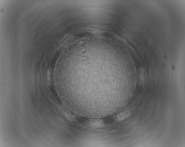 X0000067900667200604201336