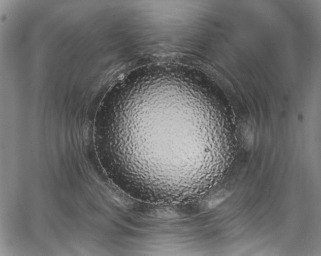 X0000067900668200604201336