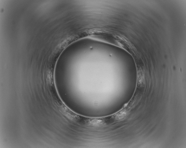 X0000067900669200604201336