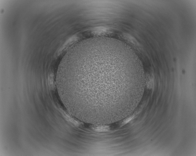 X0000067900670200604201336