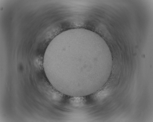 X0000067900672200604201336