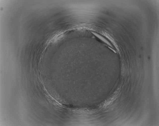 X0000067900673200604201335