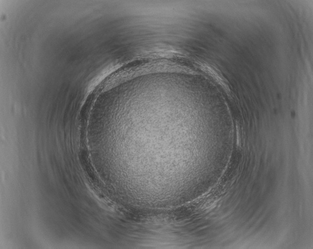 X0000067900675200604201335