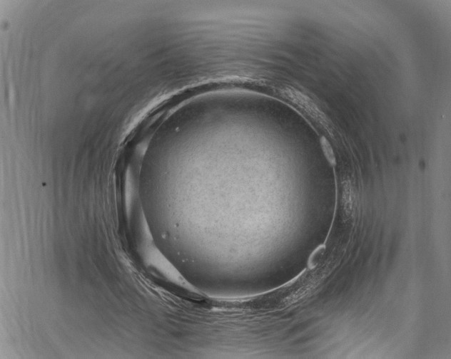 X0000067900676200604201335