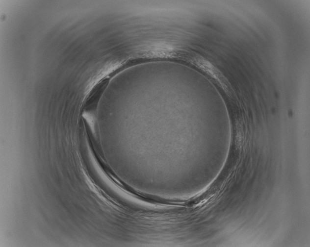 X0000067900677200604201335