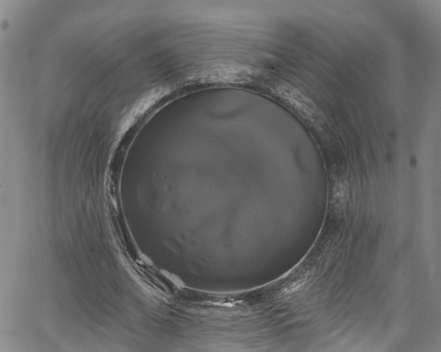 X0000067900678200604201335