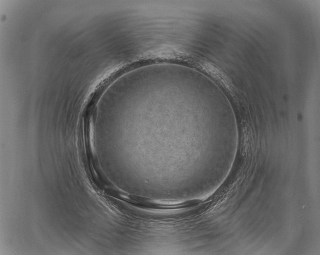 X0000067900680200604201335