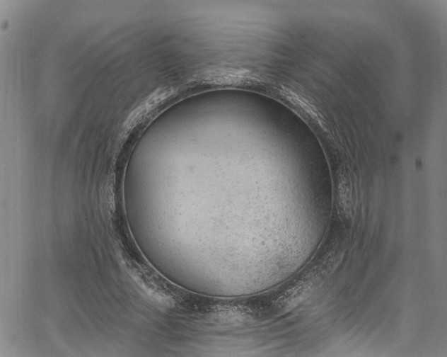 X0000067900682200604201335