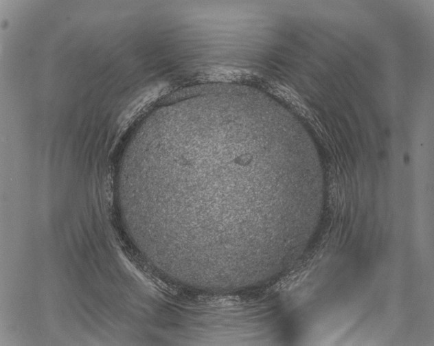 X0000067900683200604201335