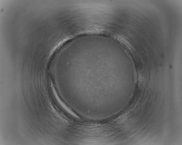 X0000067900684200604201335