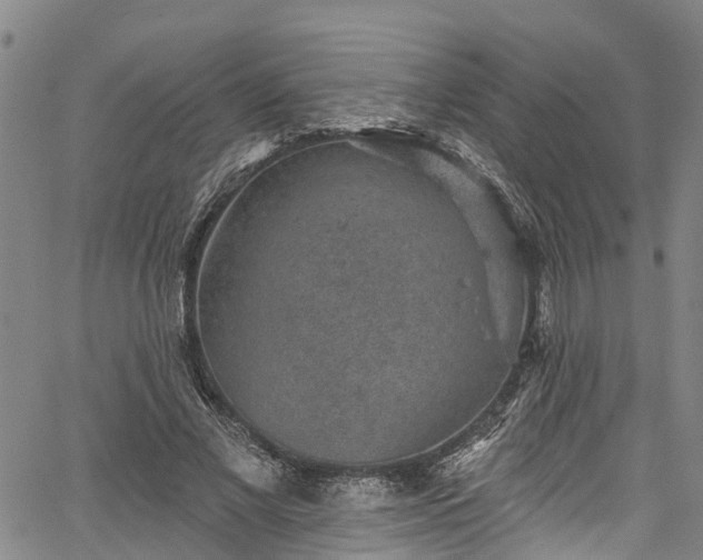 X0000067900685200604201335