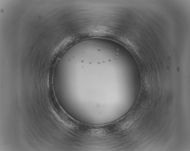 X0000067900686200604201335