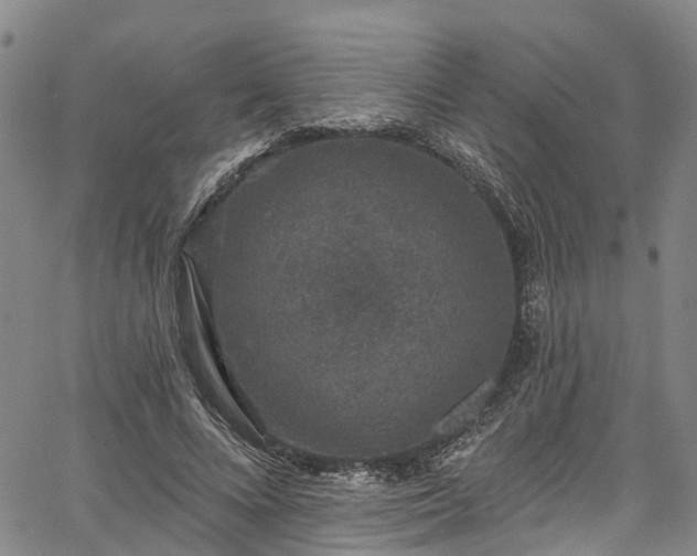 X0000067900688200604201335