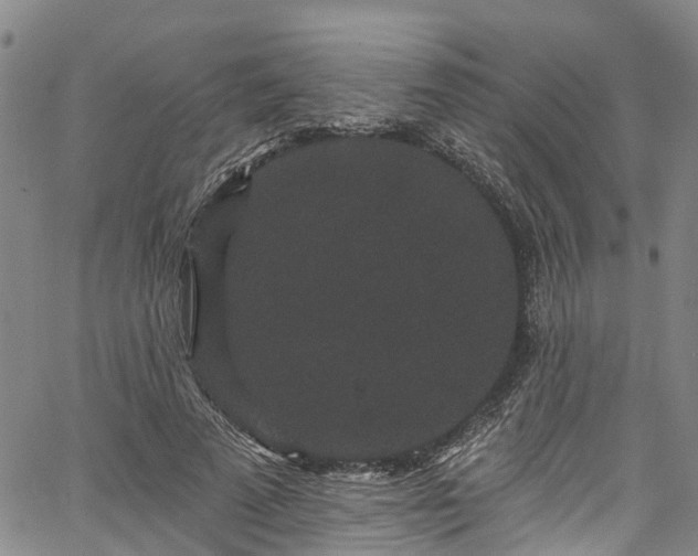 X0000067900689200604201335