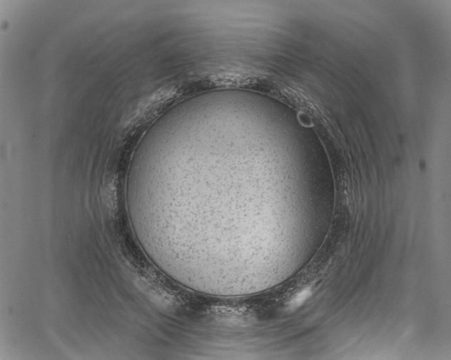 X0000067900690200604201335