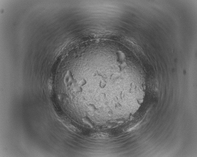 X0000067900691200604201335