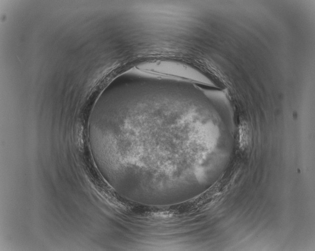 X0000067900692200604201335