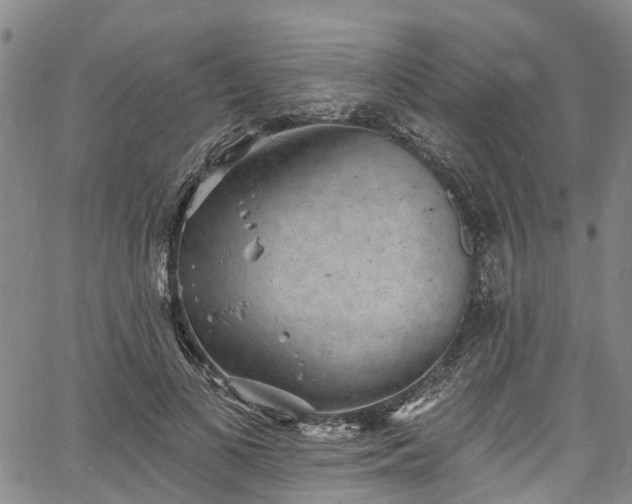 X0000067900693200604201335