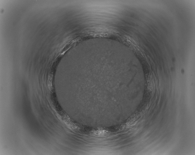 X0000067900695200604201335