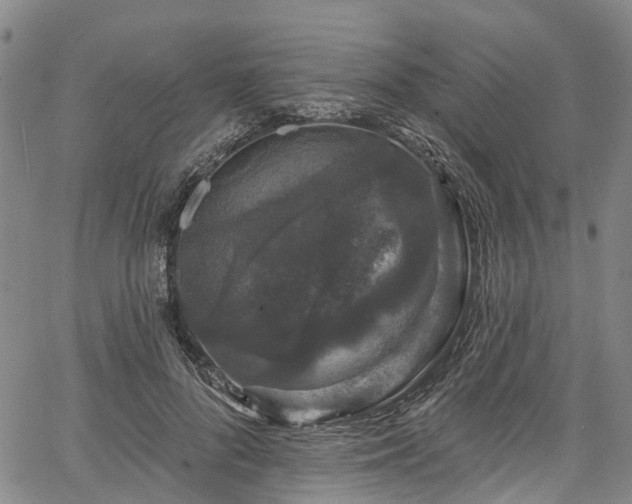 X0000067900696200604201335