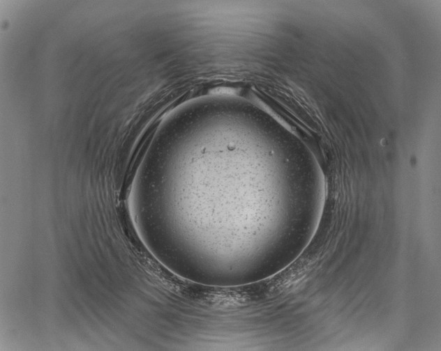 X0000067900697200604201335